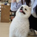 도란도란동물병원 이미지