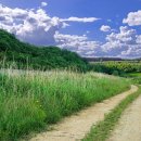 즐거운 가곡 부르기 이미지