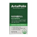 아르테