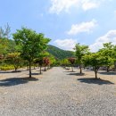 별바라기 캠핑 펜션 이미지