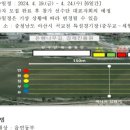아산시-2024-002 네이버블로그