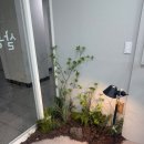 미니멍 살롱 | 매력적인 쉐도우가르마펌 안산미용실 살롱조이 고잔점 강혁디자이너