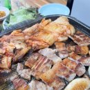 울타리식당 네이버블로그