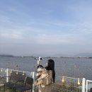 대형애견 | 부산 강서구 '그랑독' 낙동강뷰 대형 애견운동장 방문 후기