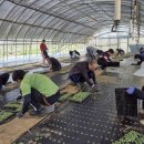 금산군청 이미지