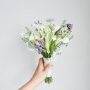 엠비씨 | [웨딩]진주 MBC컨벤션 하객후기 💐🙋‍♂️부케돌이 부케순이 🌷마르마리 부케말리기 예약 엠비씨