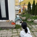 2박3일 경주여행 사진모음