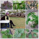 초천3리 이미지