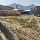 중리소류지 네이버블로그