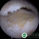 세바른병원 이미지