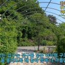 길목민박 네이버블로그