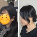 파리바게뜨 의정부중앙점 | 회룡역미용실 레드스토리호원점 중단발펌 후기