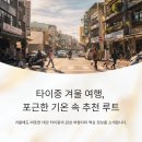 햇살그린발전소 316호 | 타이중 겨울 여행, 포근한 기온 속 추천 루트