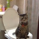 한미항외과의원 이미지