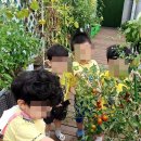 색종이 어린이집 네이버블로그