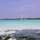 일승공인중개사사무소 이미지