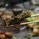 목구멍 부여점