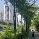 부림동-1 이미지