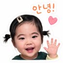 [23개월 아기 배변훈련1] 첫 배변팬티로 선택한 무냐무냐 내돈내산 솔직후기