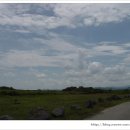 로즈마리민박 이미지