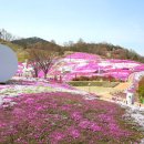 산청카센타