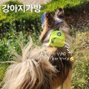 주식회사명동갈비 | 명동 스타벅스 MD 2025, 강아지가방 액티브미니백팩 구입!