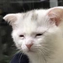 바이오피드테크 | 내일배움캠프 본캠프 8일차