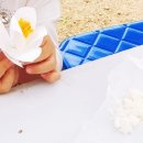 종이접기 & 한지 꽃 공예 이미지
