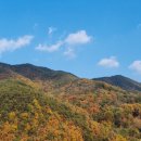 유진농산 이미지