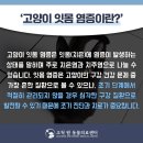 고척원동물의료센터 이미지