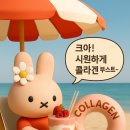 헬씨플레져 이미지