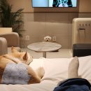 군파크호텔 이미지