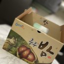 밤이송이농장