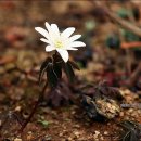 서여주세종영농조합법인 이미지