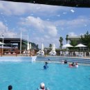 태흥종축영농조합법인 | 영농조합법인씨뿌리는사람들:)) 제주 태흥물놀이장