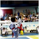 경희대효태권도장 이미지