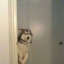 도자기원데이클래스 이미지