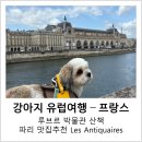 센느약국 | 파리에서 일상 3일차, 루브르박물관 산책, Les Antiquaires 파리 맛집 추천, 몽쥬약국, 파리 6월 더위