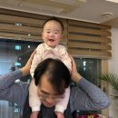 (주)도리도리