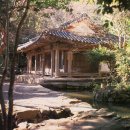 다산애차 | 시간이 멈춘 세상 有兒(어떤 아이) 정약용(丁若鏞)