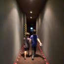 코코 스타디움 이미지