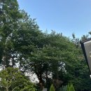 황령산보쌈 | 광안리 맛집 청산1954 편백낙지보쌈 후기 / 황령산 초입 한옥 분위기