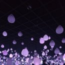 5373 | 🎮강릉 여행 놀거리 총정리 ㅣ 내돈내산 강릉 가볼만한 곳 &amp; 체험후기