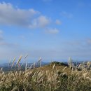 새별오름 이미지