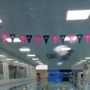 망고키즈수영장 마산점 이미지