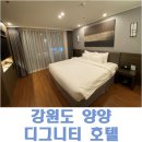 &lt;국내여행&gt; 강원도 양양 숙소 추천 - 디그니티 호텔(+펍에서 즐기는 무료 와인과 치즈플래터는 환상)
