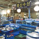 대아농수산물 | 2017년 3년째 먹는 노은 농수산물시장 대하 구이 왕 새우 후기