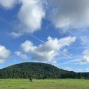 승연목장 이미지