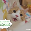 유봉 이미지