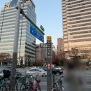 장성종합시장 | 가락시장 방어 맛집 추천 장성수산 장성 오마카세 후기